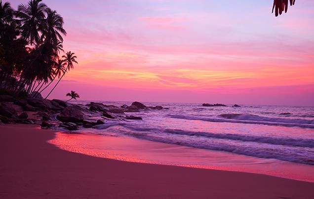 Day 2-3 Marari Beach at Leisure