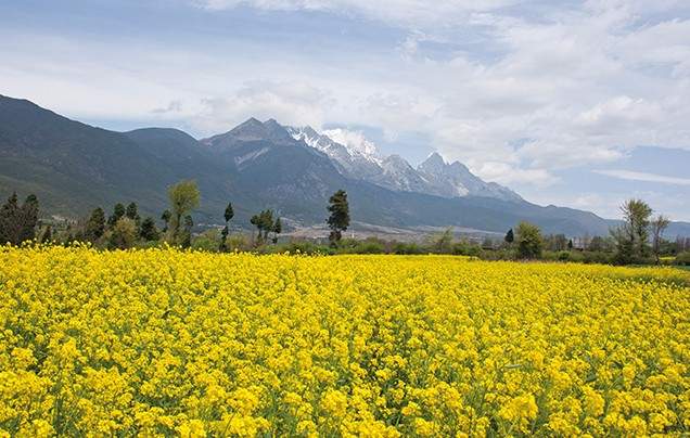Day 14: Jade Dragon Snow Mountain