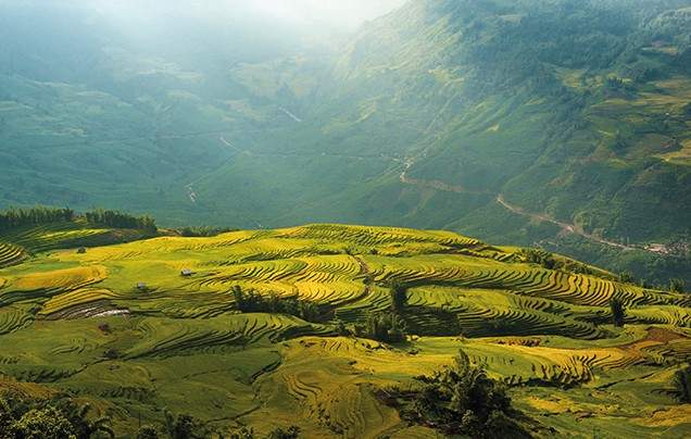 DAY 5 LUSH RICE TERRACES