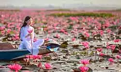 Journey Through Asia Virtual Party