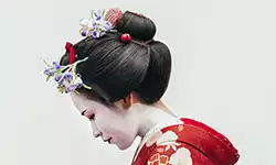 Most generous Japan offer ever launches 2022 & 2023 brochure