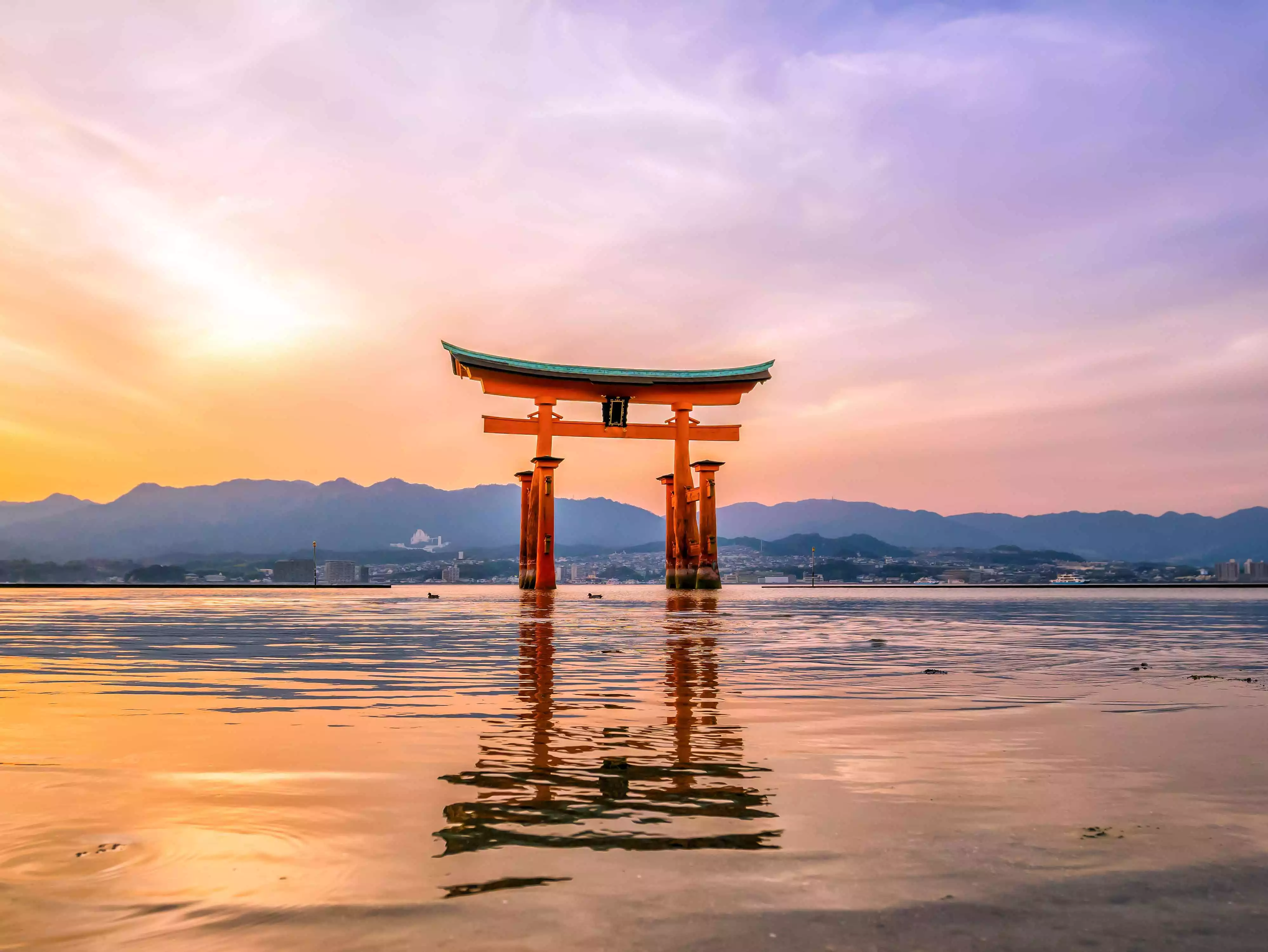 Japan earthquake update