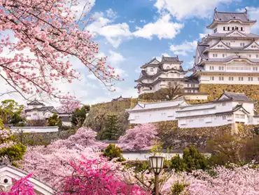 The New Year Sale has landed... 