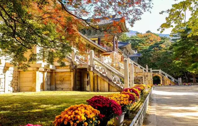 Day 8: Explore Gyeongju