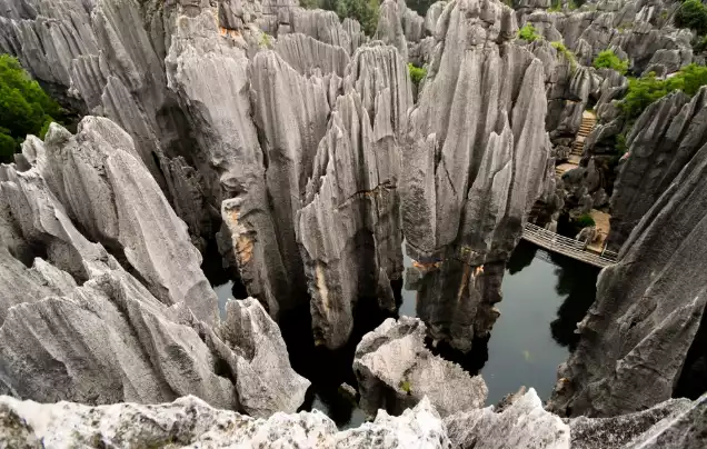 Day 11: The Stone Forest