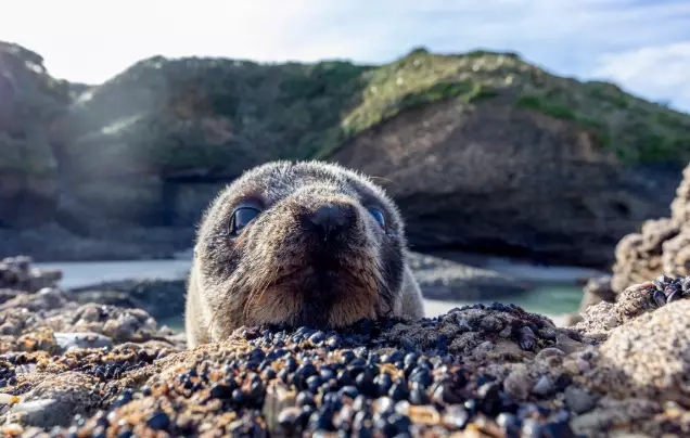 Day 1: Arrive Galapagos Islands