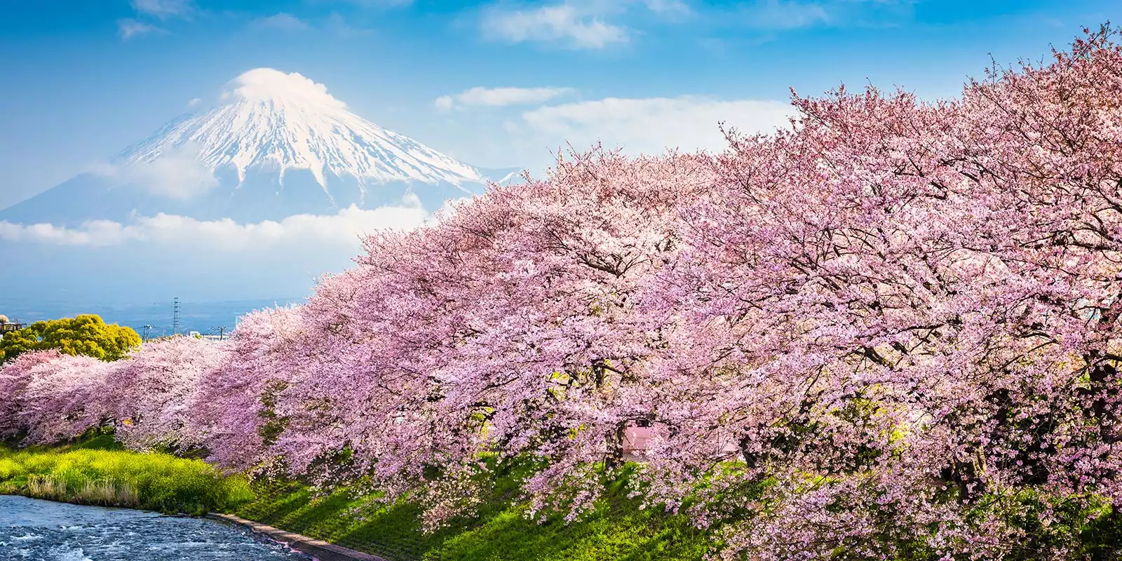 Best Time to Visit Japan