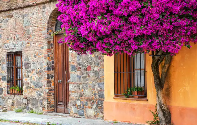 DAY 12: Day trip to Uruguay