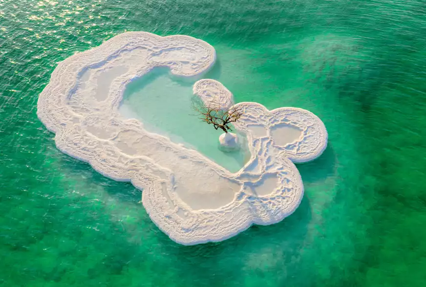 Outstanding Tour Guides