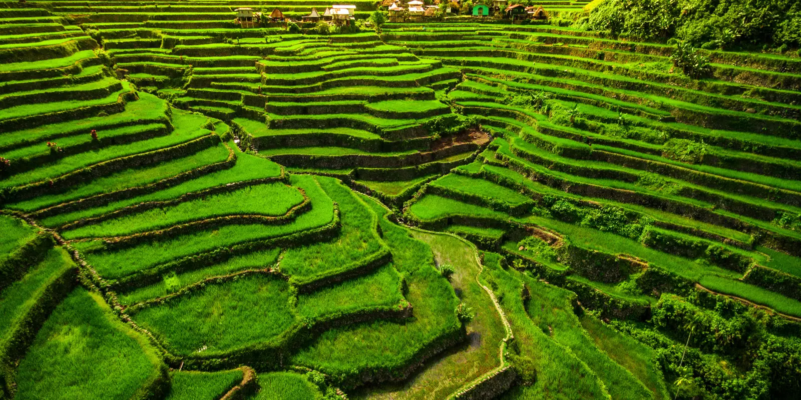 Banaue Holidays
