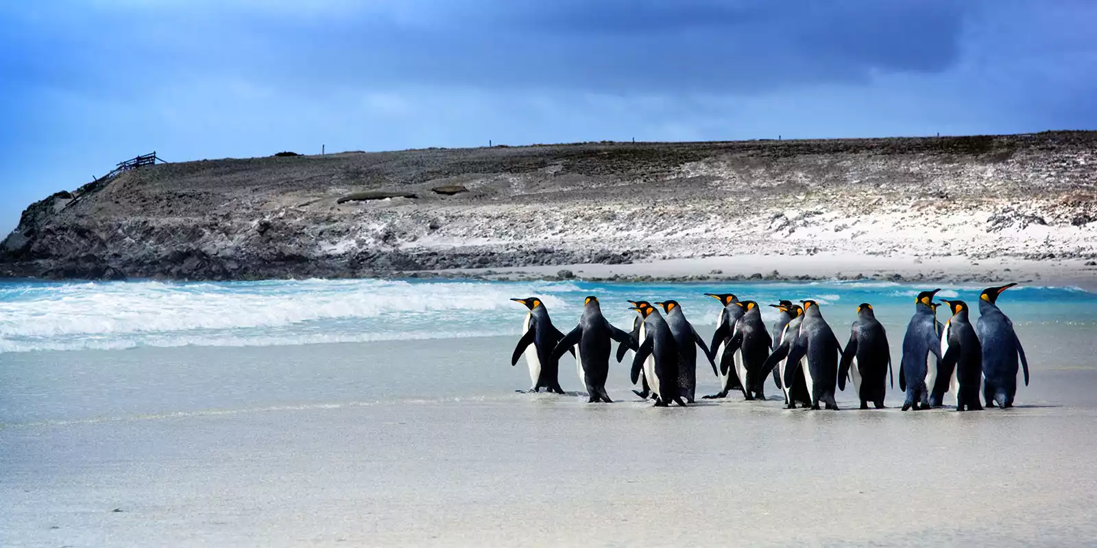Falkland Islands