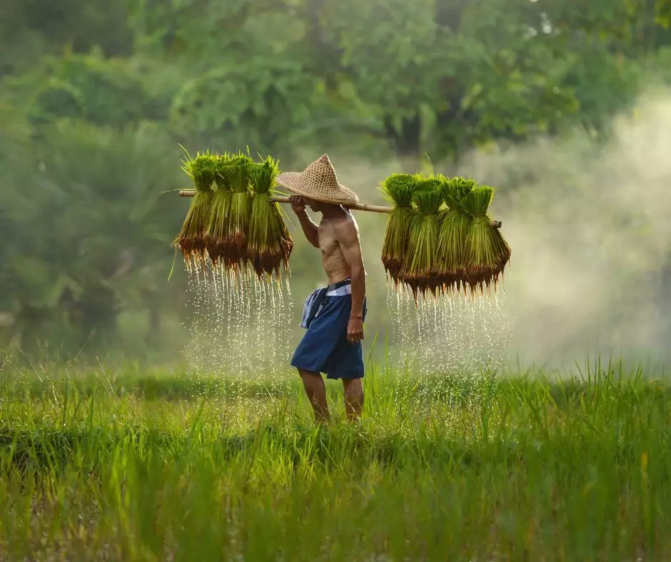 Southeast Asia Brochure Launch Virtual Show