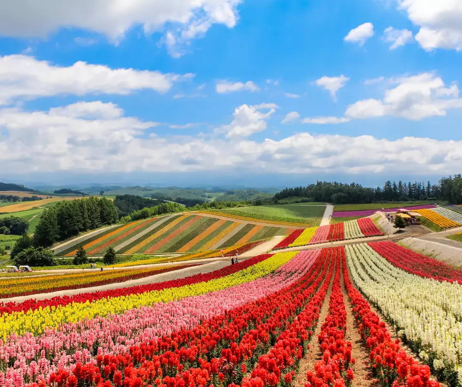 Northern Japan: Secrets of Hokkaido