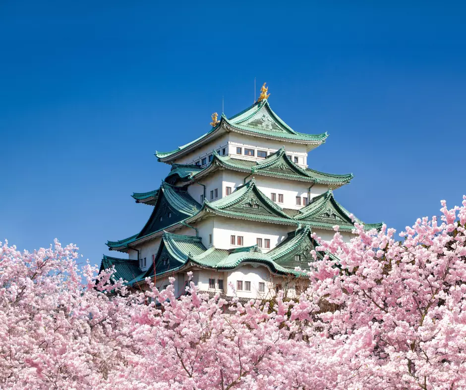 Japan In Bloom Virtual Travel Show