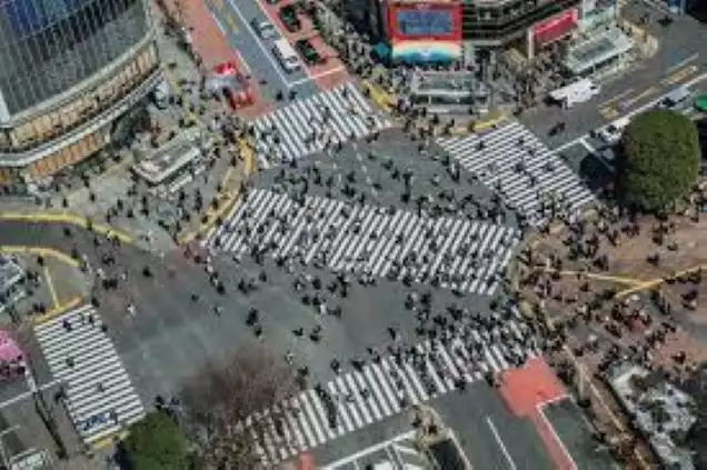 Day 3: Discover Tokyo