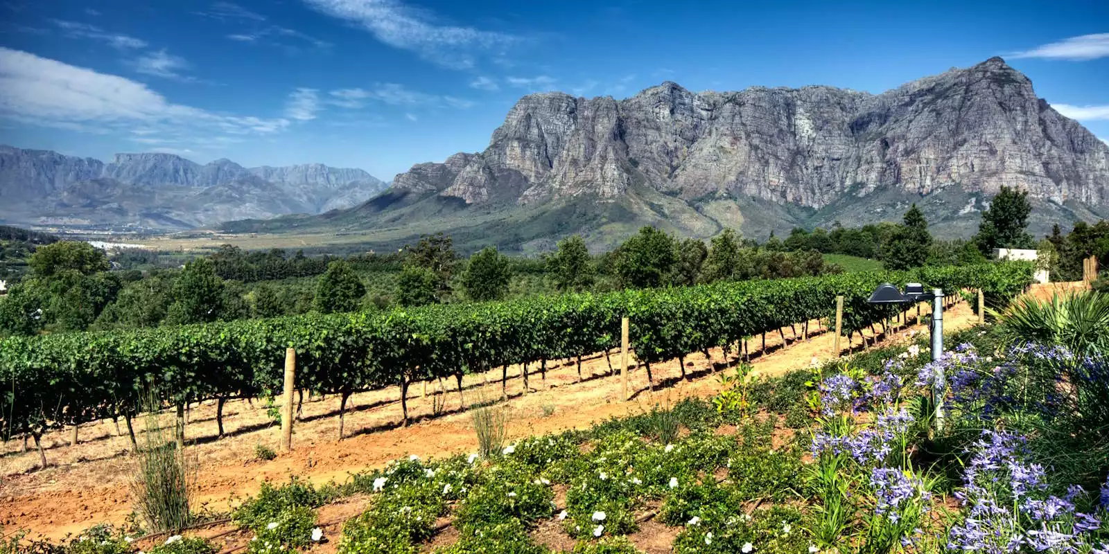 Cape Winelands Holidays