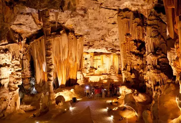 Day 10: Oudtshoorn to Cape Town