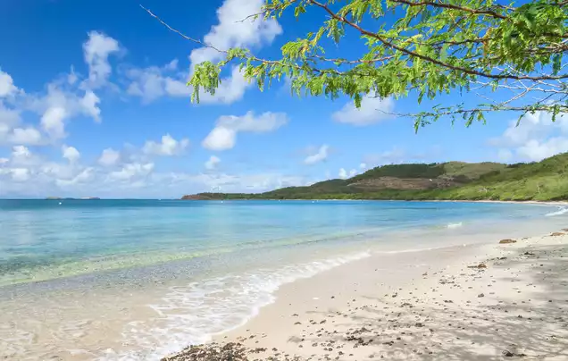 Day 2: Transfer to Tamarindo Beach