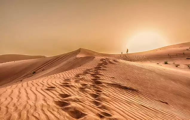 Day 2: Discover Abu Dhabi