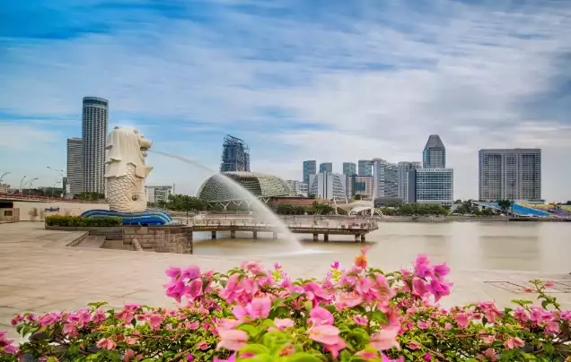 Day 24: Disembark in Singapore