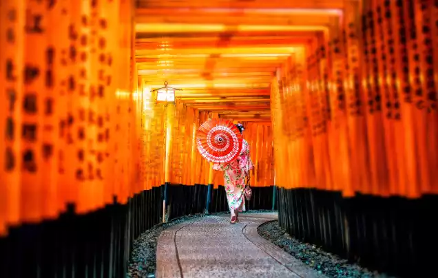 Day 10: Cruise – Osaka (Kyoto)