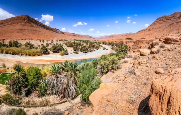 Day 8: Travel to Erfoud