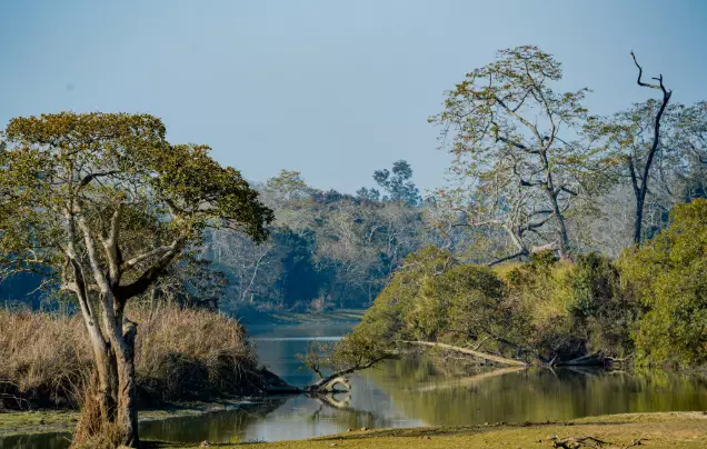 Day 1: Travel to Kaziranga National Park