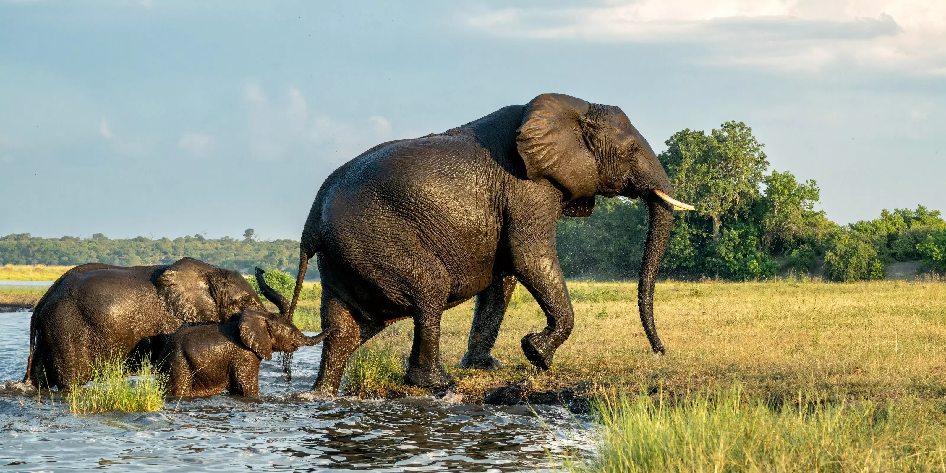 Wonders of Botswana & Zimbabwe 