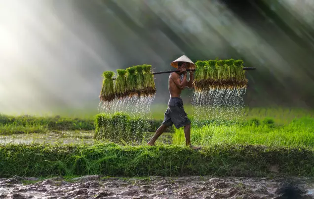 Day 10: Countryside Experience