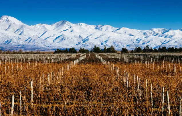 Day 7: Explore the Maipu Valley