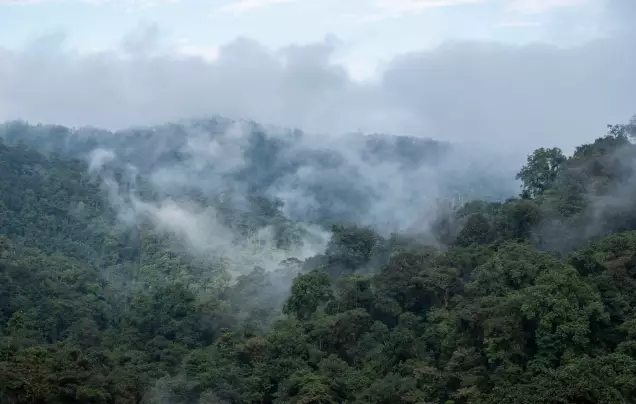 Day 5: Travel to Mashpi