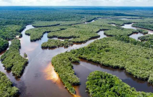 Day 4: Fly to the Amazon