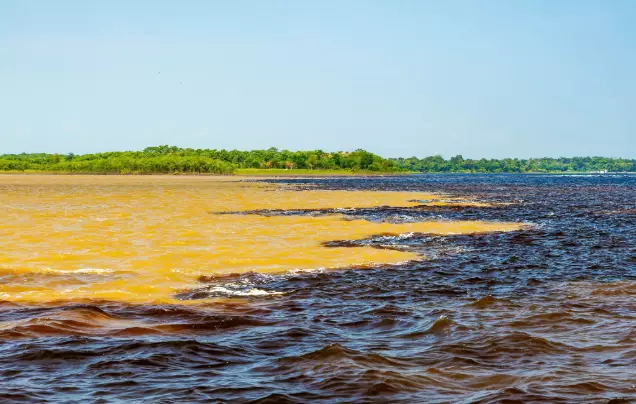 Day 6: Amazon adventure