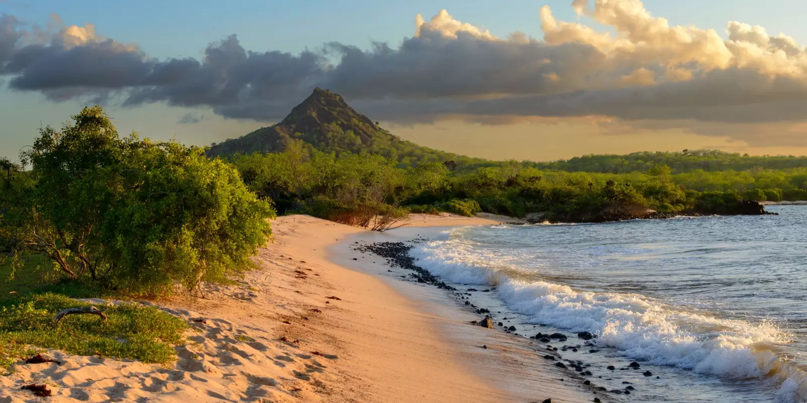 Galapagos by Sea: Northwestern Galapagos Islands 
