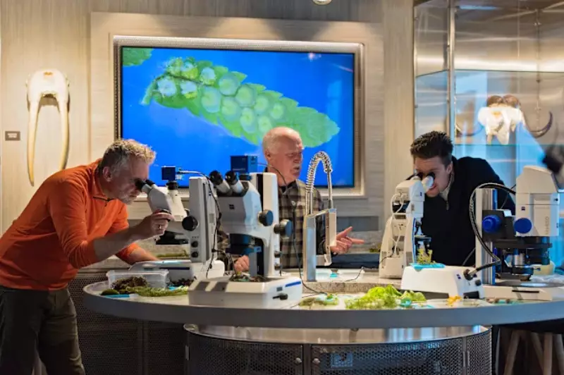 A deeper understanding