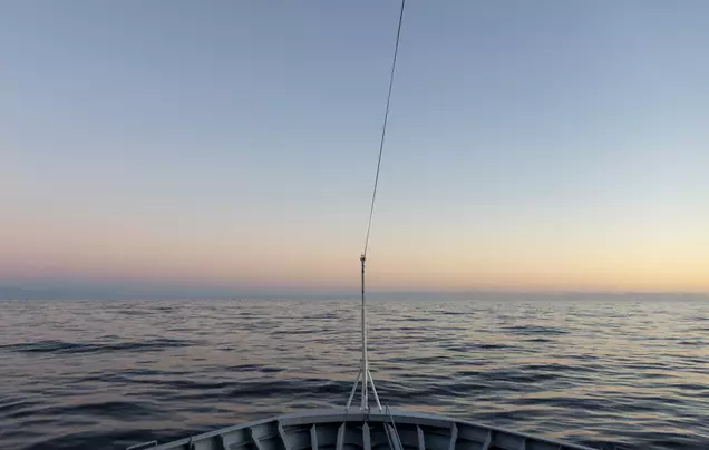 Days 17-18: Cruise – Drake Passage