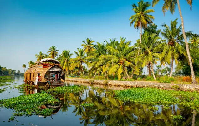 Day 4: Cruise the Backwaters