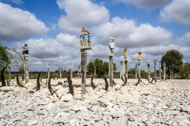 Day 14: Travel to Ifaty