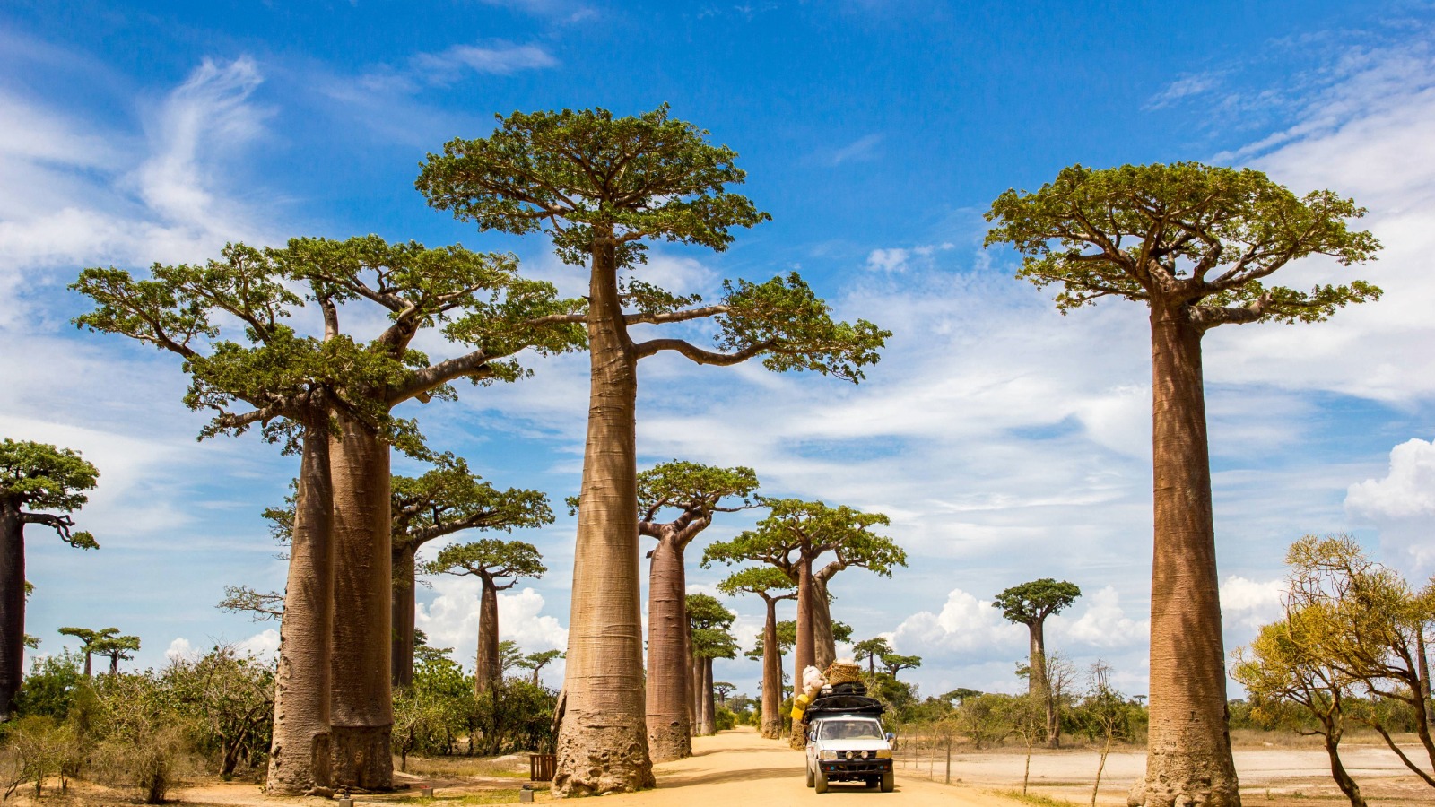 Madagascar Tours