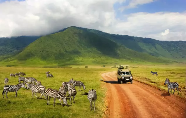 Day 6: Safari in Ngorongoro