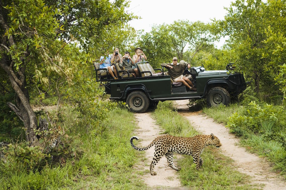How to See the Big Five with Wendy Wu Tours