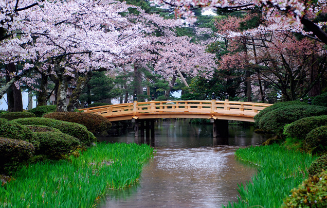 Day 16: Cruise - Kanazawa