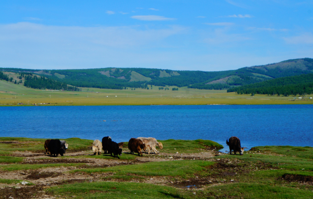 Day 13: Lake Khovsgol