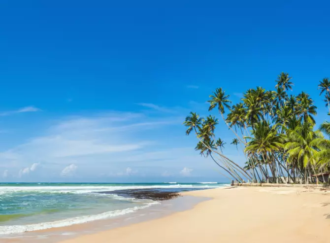 Group Tour & Independent Beach Stay