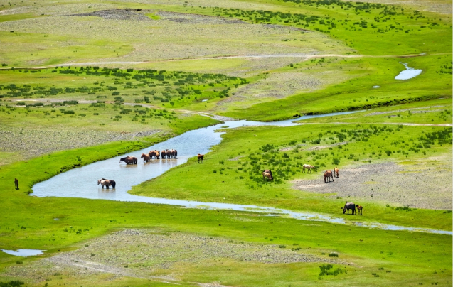 Day 19: Return to Ulaanbaatar