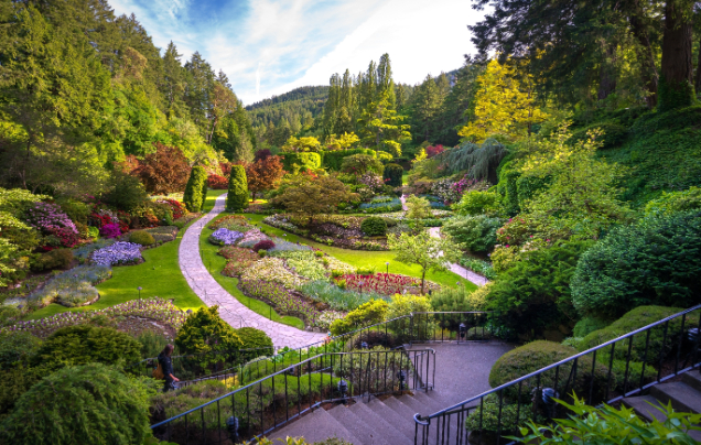 Day 5: Explore Vancouver Island