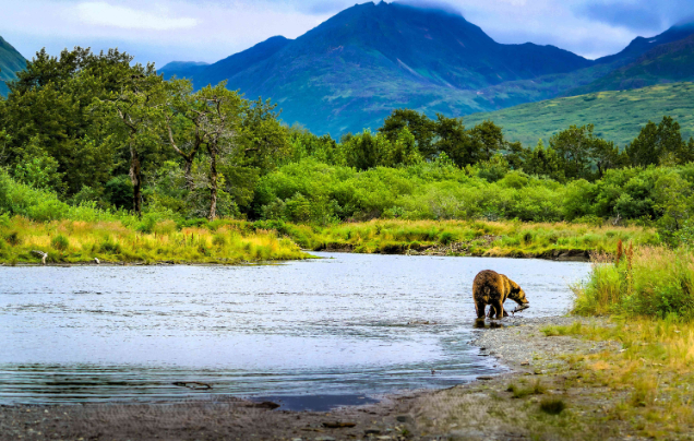 Day 12: Cruise - Kodiak, Alaska