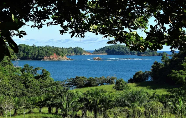 Day 11: Cruise – Golfo de Chiriqui