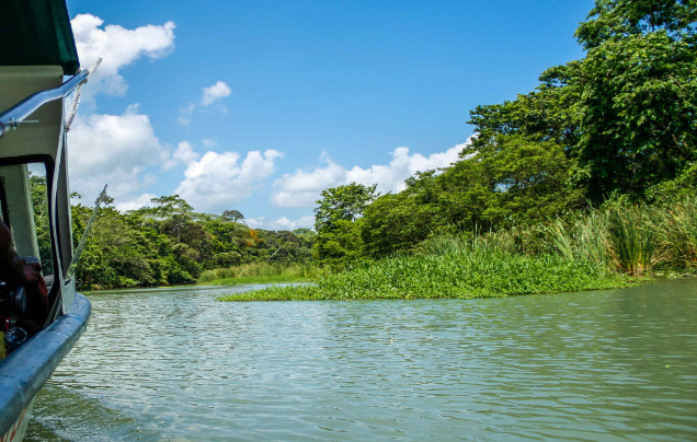 Day 3: Tortuguero National Park