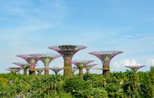 Day 15: Cruise – Singapore
